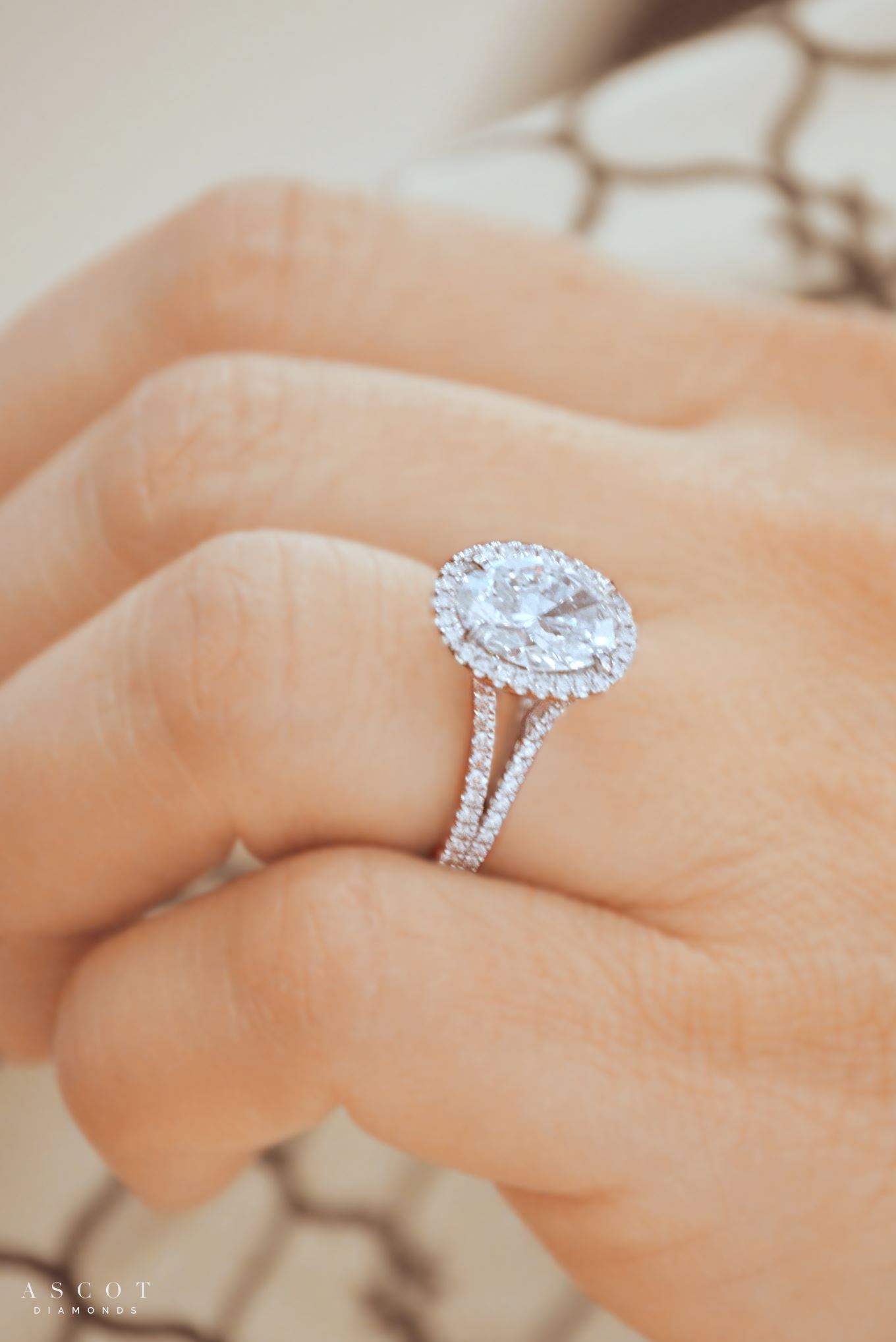 Halo Engagement Rings – Happy Jewelers
